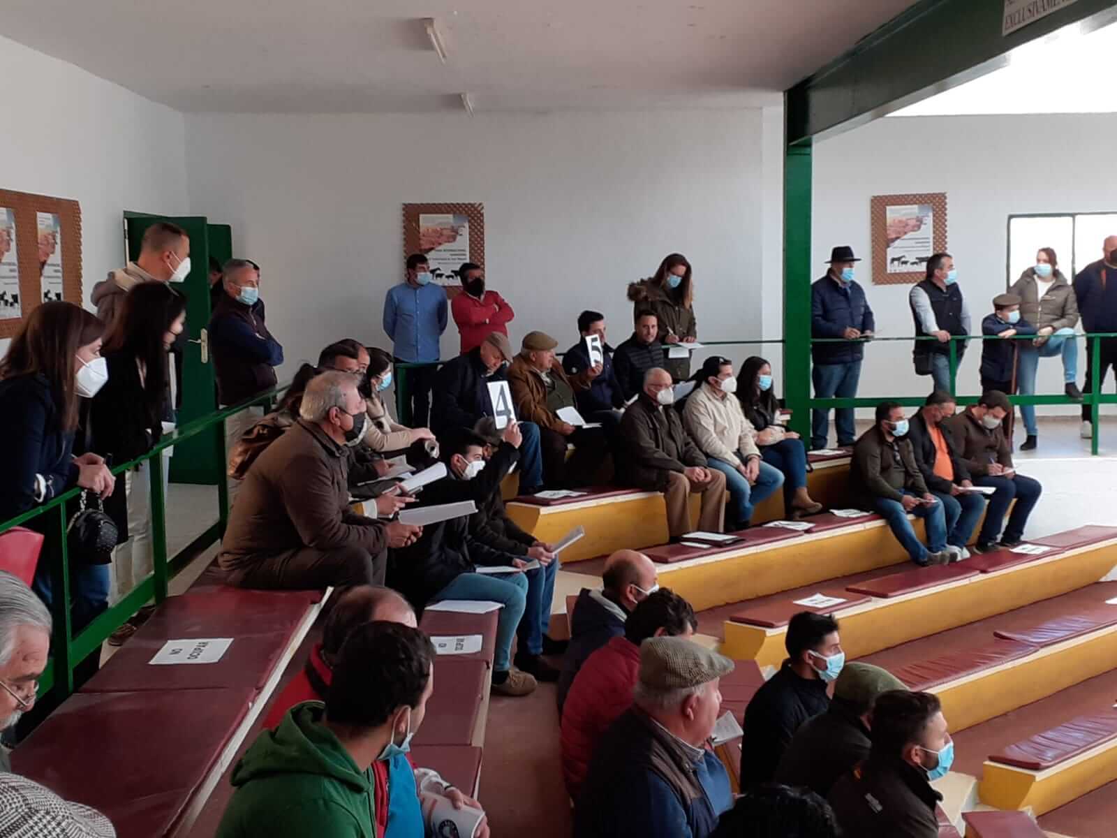 zafra-primavera-subasta-2022