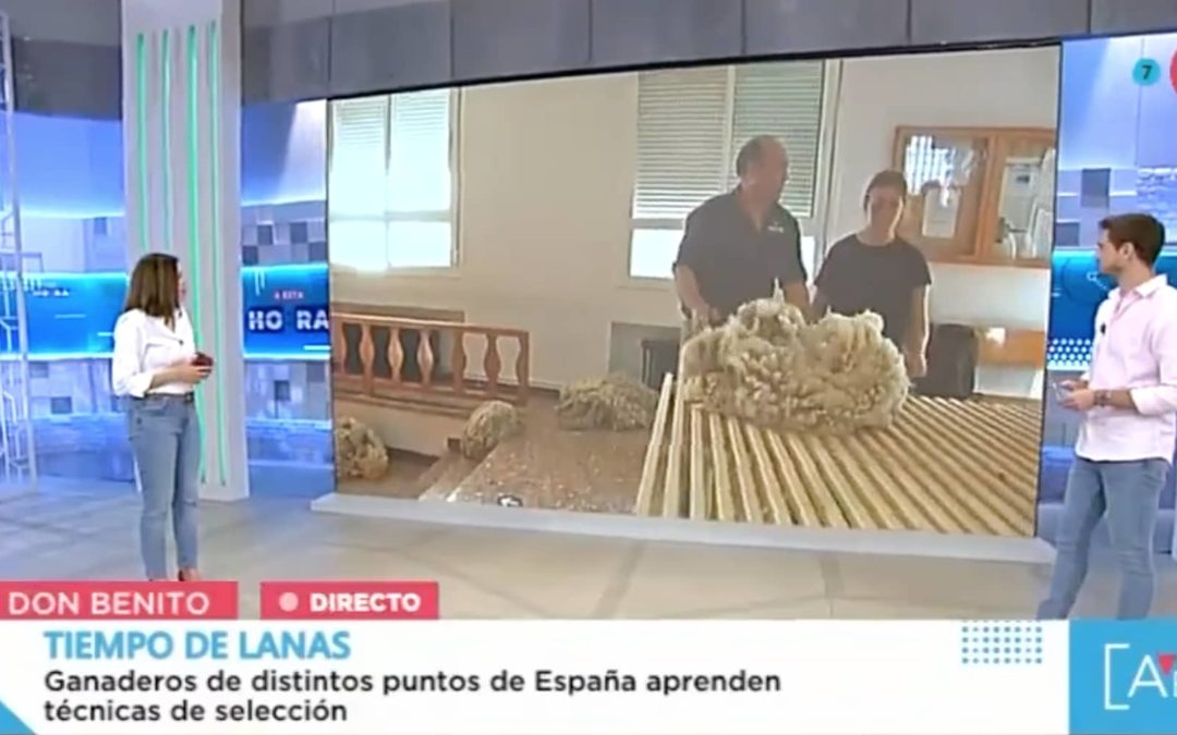 Don Benito imparte un curso sobre selección de vellón