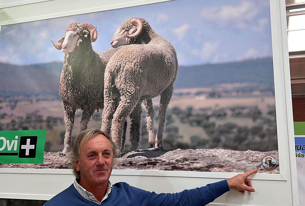 Inauguración feria Internacional Ganadera Zafra