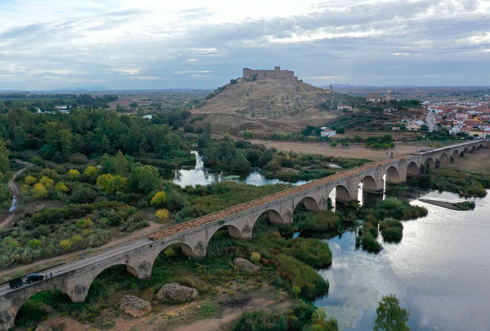 3.000 ovejas de la ganadería de J. Ortiz, recorriendo la villa de Medellín en Badajoz