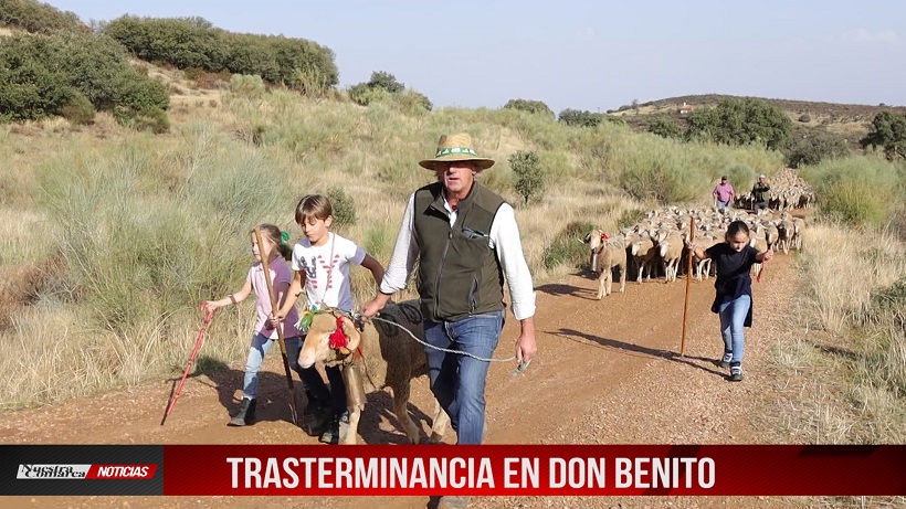 Trasterminancia 2022 - Nov