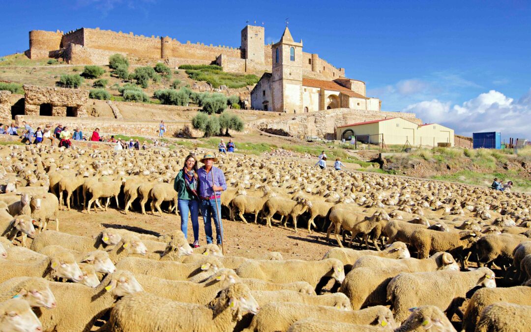 Medellin acoge la II feria de la trashumancia