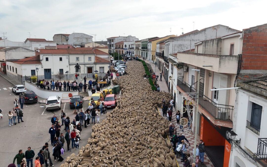 Volviendo a los orígenes con la fiesta de la trashumancia en Medellín